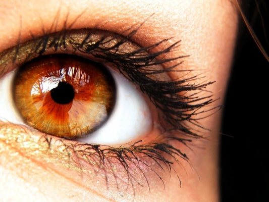 Amber Eyes: How Rare Are They and What Causes Them? | Blue Planet Optics